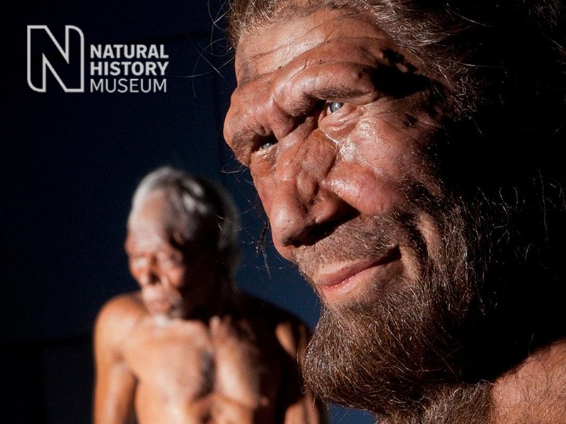 Image for How Neanderthal are you?